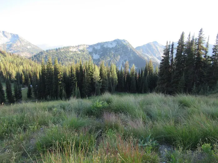 Hidden Meadows Campground Picture 6