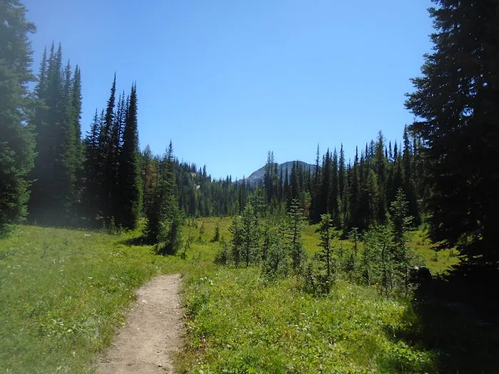 Hidden Meadows Campground Picture 8
