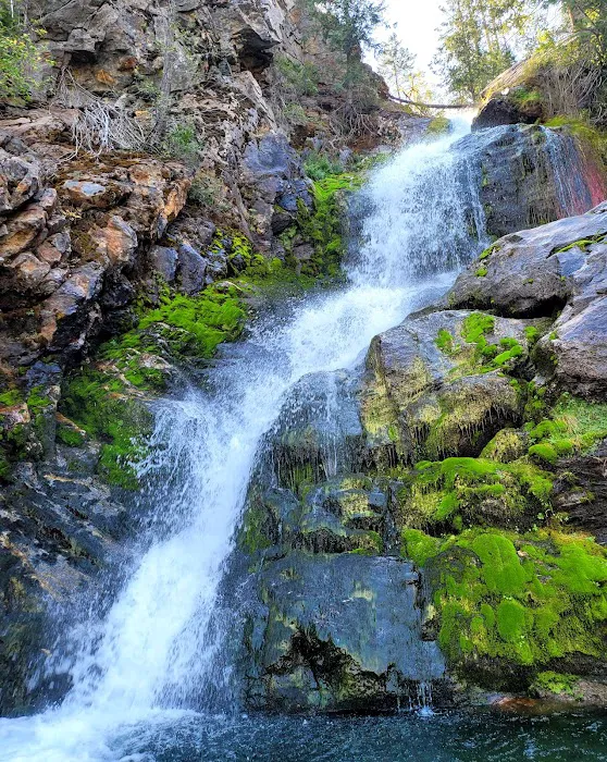 Domke Falls Boat-In Campground Picture 2