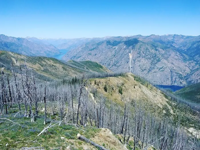 Junior Point Campground Picture 3