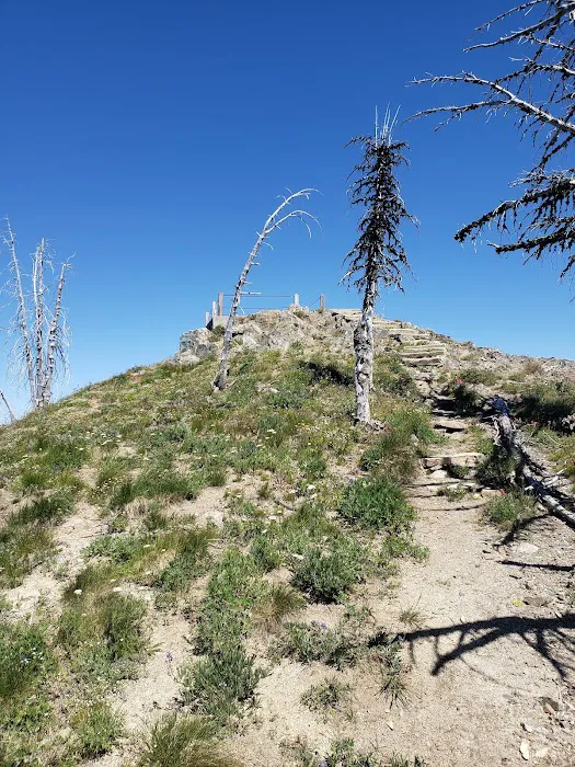 Junior Point Campground Picture 5