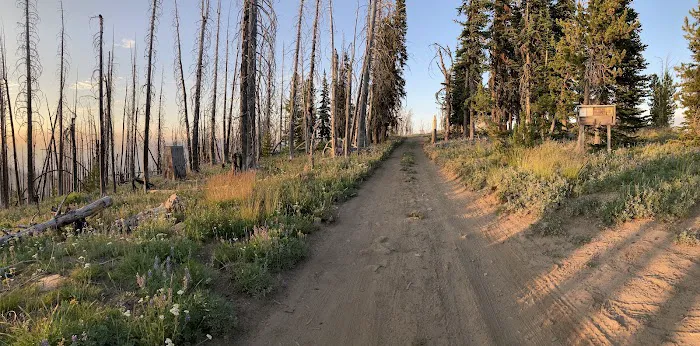 Junior Point Campground Picture 8