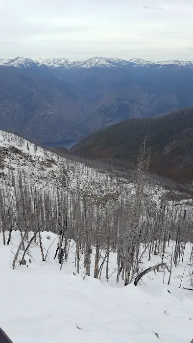 Junior Point Campground Picture 10