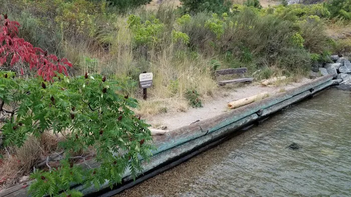 Deer Point Boat-In Campground Picture 10