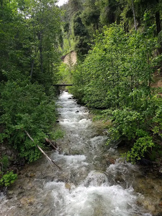 Snowberry Bowl Campground Picture 1