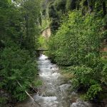 Snowberry Bowl Campground