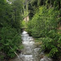 Snowberry Bowl Campground ico