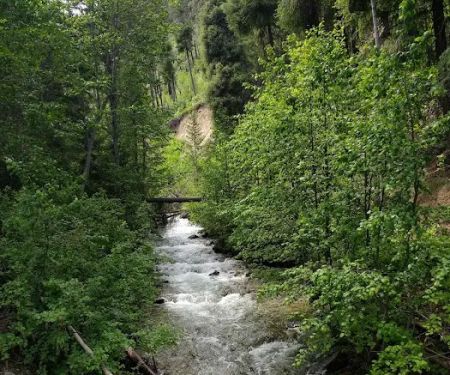 Snowberry Bowl Campground