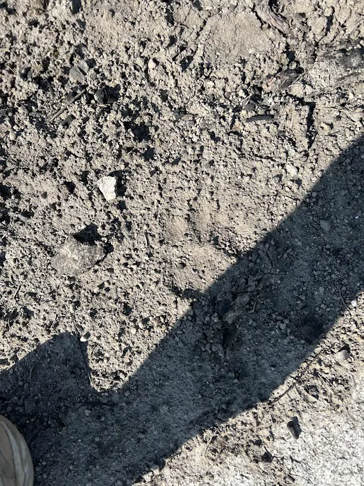 Snowberry Bowl Campground Picture 8