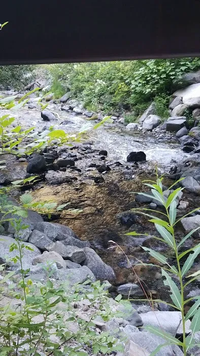 Snowberry Bowl Campground Picture 10