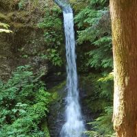 Horse Camp: Lewis River ico