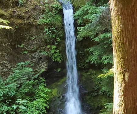 Horse Camp: Lewis River