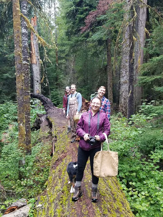 Horse Camp: Lewis River Picture 6