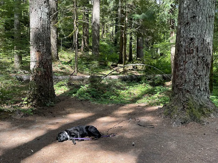Lower Falls Campground Picture 4