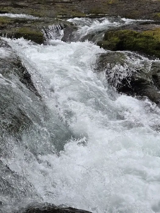Lower Falls Campground Picture 9