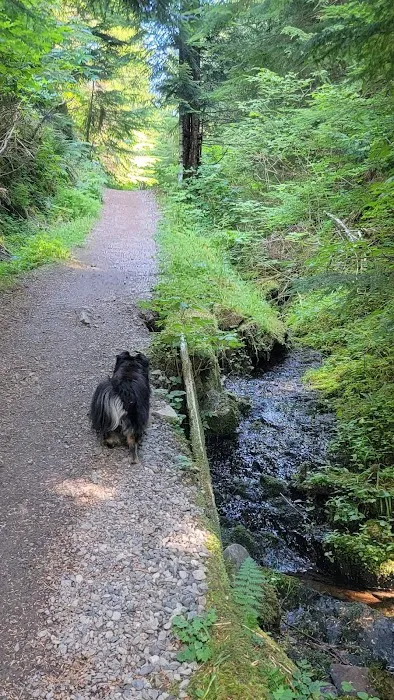 Yahoo Lake Campground Picture 1