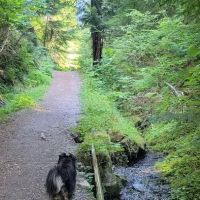 Yahoo Lake Campground ico