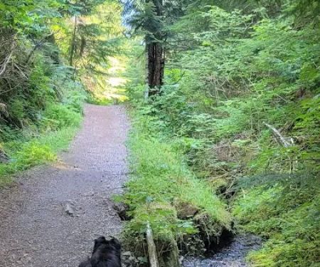 Yahoo Lake Campground