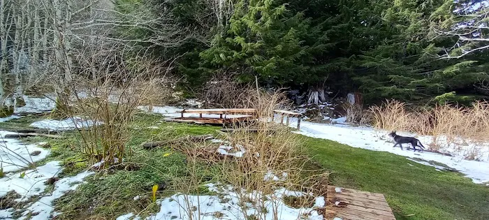 Yahoo Lake Campground Picture 9