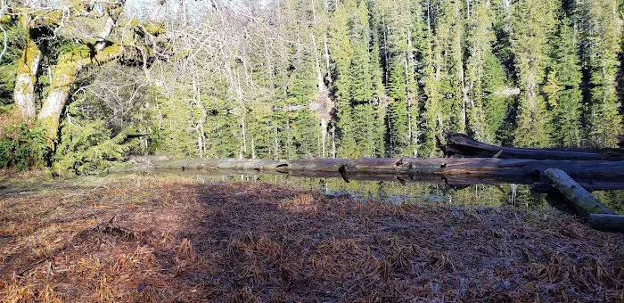 Yahoo Lake Campground Picture 8