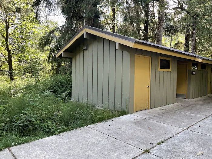 Hoh Rain Forest Campground Picture 1