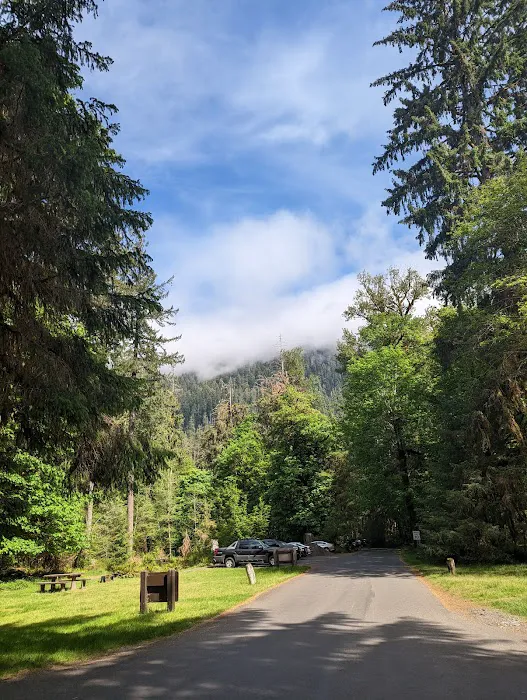 Hoh Rain Forest Campground Picture 3