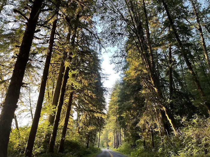 Minnie Peterson Campground Picture 4