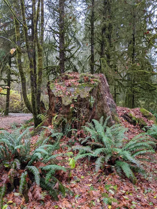 Minnie Peterson Campground Picture 9