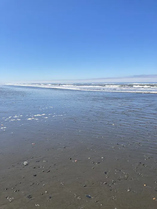 South Beach Campground Picture 2