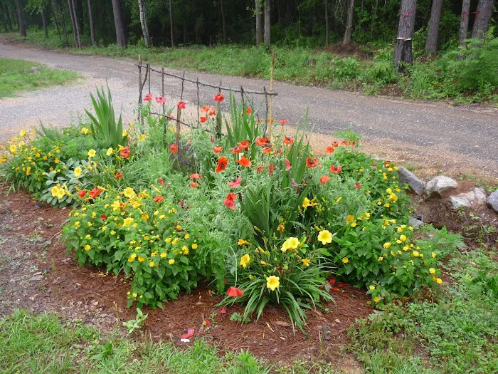 Kountry Air RV Park Picture 10