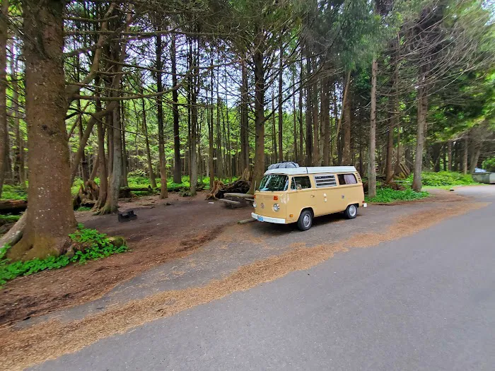 Kalaloch Campground Picture 5