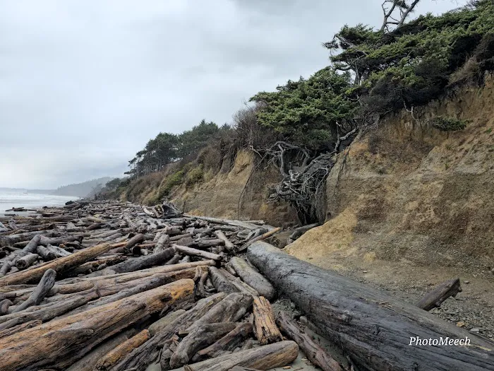 Kalaloch Campground Picture 6