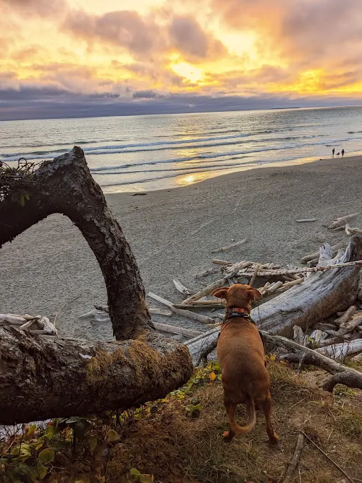 Kalaloch Campground Picture 10