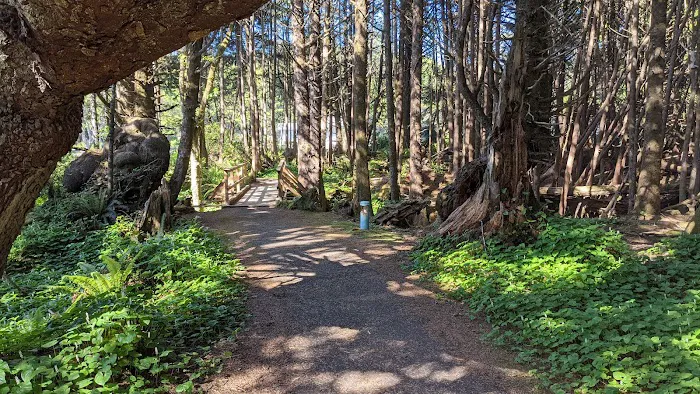Kalaloch Campground Picture 9