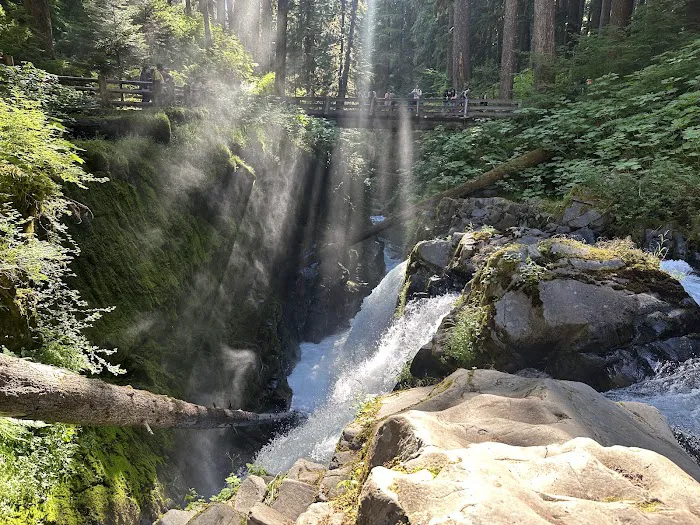 Sol Duc Campground Loop B Entrance Picture 3