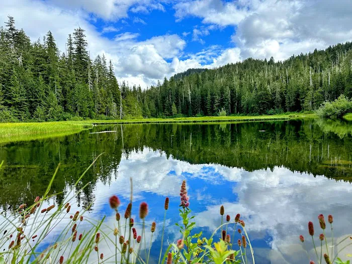 Sol Duc Campground Loop B Entrance Picture 2