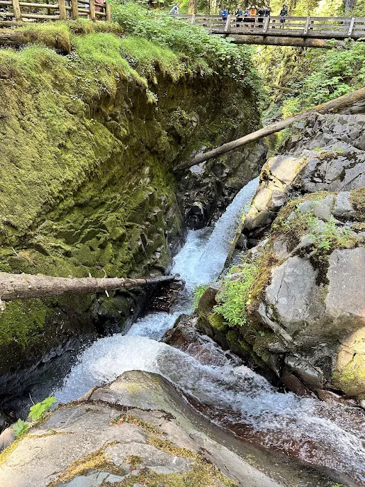 Sol Duc Campground Loop B Entrance Picture 4