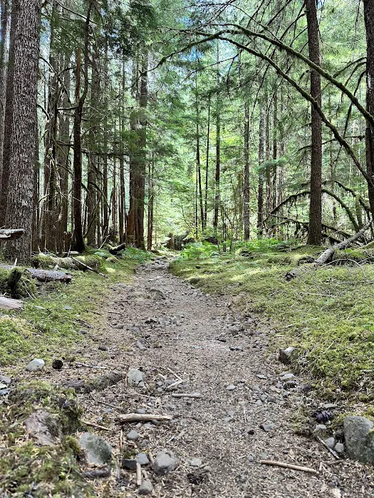 Sol Duc Campground Loop B Entrance Picture 6