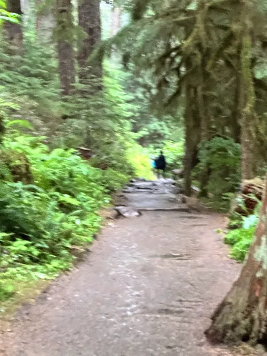 Sol Duc Campground Loop B Entrance Picture 9