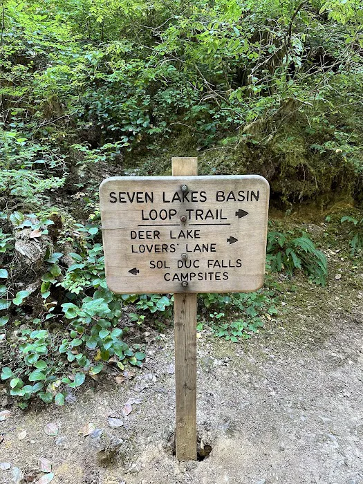 Sol Duc Campground Loop B Entrance Picture 8