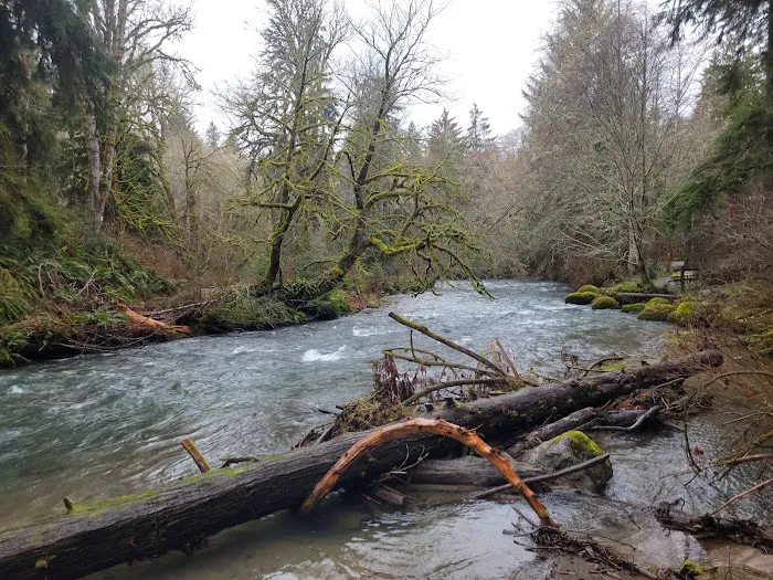 Lyre River Campground Picture 2