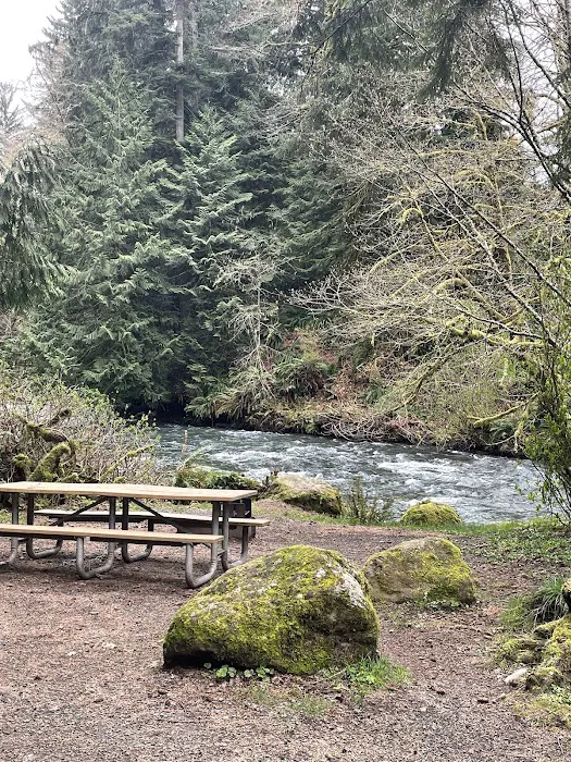 Lyre River Campground Picture 3