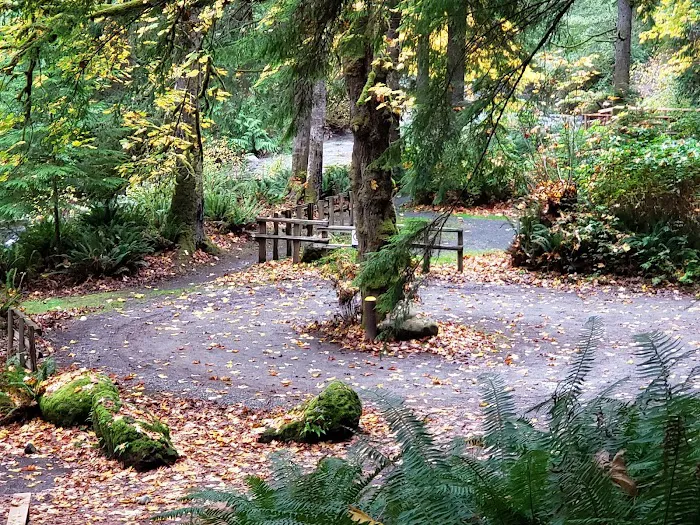 Lyre River Campground Picture 5