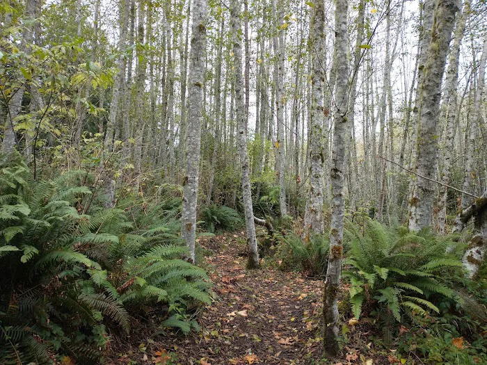 Lyre River Campground Picture 6