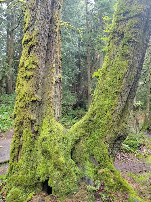 Lyre River Campground Picture 4