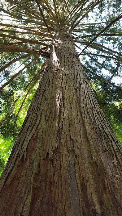 Lyre River Campground Picture 8