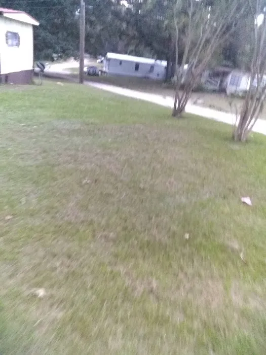 GreenPond Mobile Home Park Picture 4