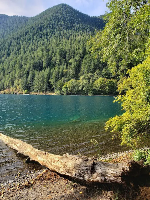 Fairholme Campground Picture 1