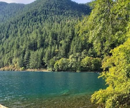 Fairholme Campground