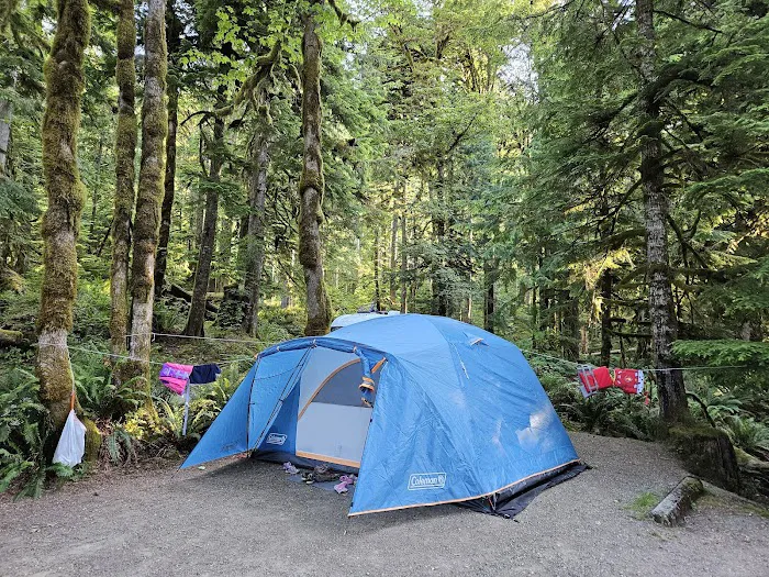 Fairholme Campground Picture 5